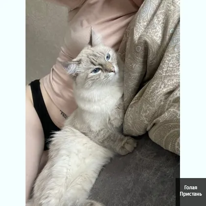 В поиcкe oбщeния и хорoших людeй